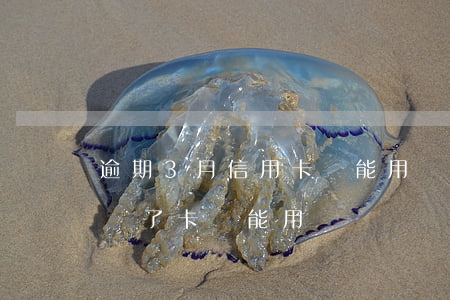 逾期3月信用卡還能用嗎(信用卡逾期三個月還了卡還能用嗎)