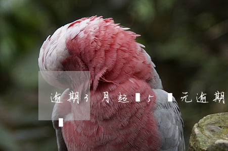 逾期3月超過5萬元(逾期超過5萬就是詐騙嗎)