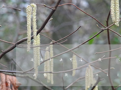 逾期3次可以貸款買(mǎi)房嗎(逾期3次能貸款買(mǎi)房嗎)