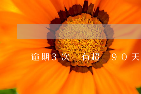 逾期3次沒有超過90天