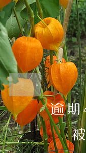 逾期4000金額會被起訴-逾期5000會被告嗎