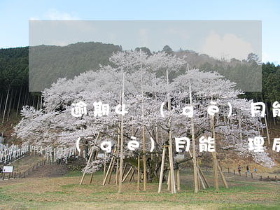 逾期4個(gè)月能辦理房貸嗎(逾期4個(gè)月能辦理房貸嗎)