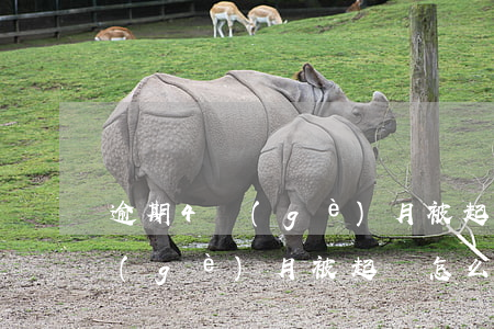 逾期4個(gè)月被起訴怎么辦（逾期4個(gè)月被起訴怎么辦）