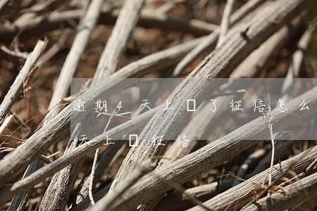 逾期4天上傳了征信怎么辦(借款平臺逾期幾天上傳征信)