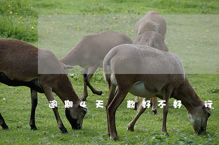 逾期4天還款好不好(銀行還款逾期四天怎么辦)