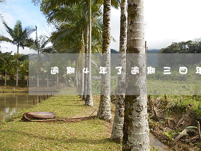 逾期4年了（逾期三四年還不起訴）