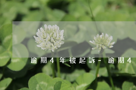 逾期4年被起訴-逾期4年被起訴