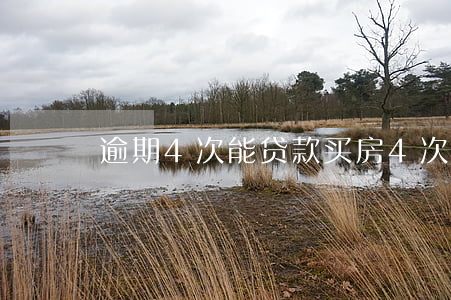 逾期4次能贷款买房(4次逾期能贷款买房吗)