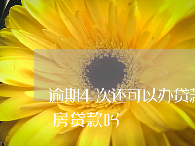 逾期4次还可以办贷款吗(四年前逾期6次能房贷款吗)