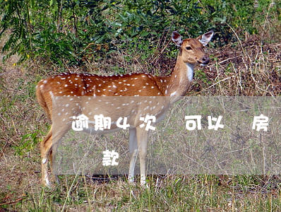 逾期4次還可以辦房貸嗎(房貸逾期四次可以貸款嗎?)