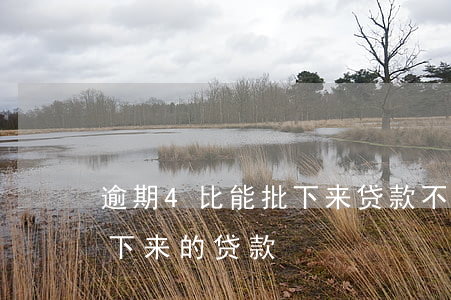 逾期4比能批下来贷款不(有没有逾期也能批下来的贷款)