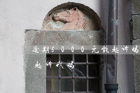 逾期5000元能起诉吗（逾期1500元会起诉我吗）