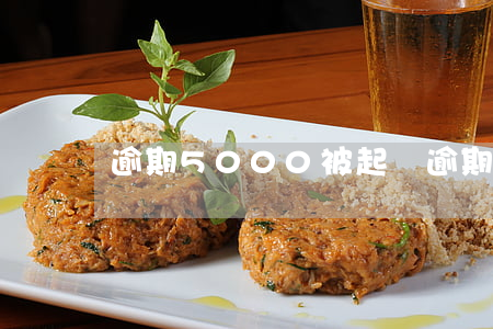 逾期5000被起訴(逾期5000被起訴)