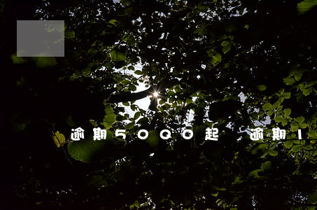 逾期5000起訴(逾期1500)