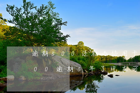 逾期500还能办信用卡吗(欠信用卡10000逾期5年了,现在可以还吗?)