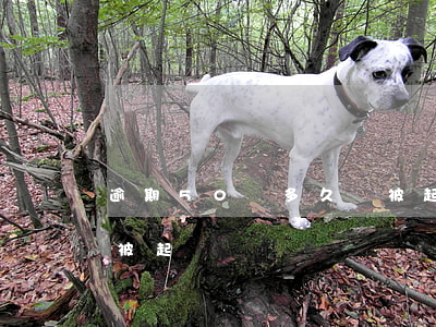 逾期50萬多久會被起訴（逾期50萬多久會被起訴）