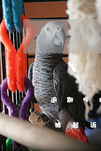 逾期58天会被起诉吗（我逾期6768元会被起诉吗）