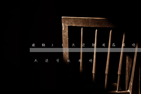 逾期58天还能用花呗吗(支付宝花呗逾期七天还可以用吗)