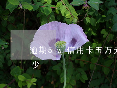 逾期5w信用卡(五万元信用卡逾期利息是多少)