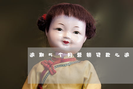 逾期5个月营销贷款么(逾期五个月)