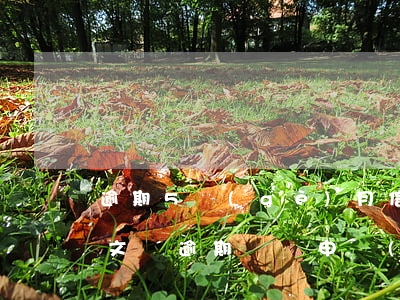逾期5個(gè)月信用卡報(bào)案文書(逾期記錄申請(qǐng)信用卡)