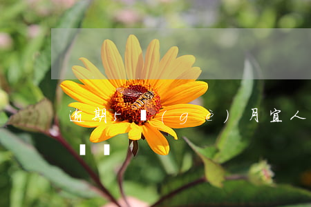 逾期5個(gè)月宜人貸會(huì)起訴嗎