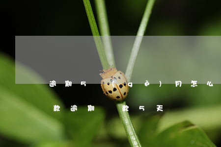 逾期5個(gè)月怎么協(xié)商還款(逾期還款5天)