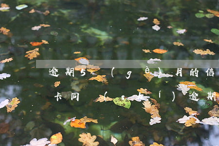 逾期5個(gè)月的信用卡嗎(四五張信用卡同時(shí)逾期幾個(gè)月會怎樣)
