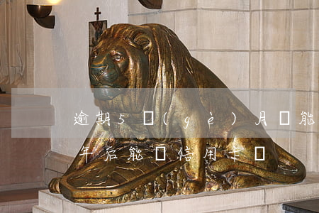 逾期5個(gè)月還能辦信用卡嗎(逾期五年后能辦信用卡嗎)