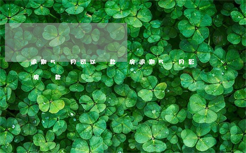 逾期5個月可以貸款買房(逾期5個月影響買房貸款嗎)