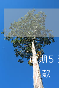 逾期5天可以貸款買房(逾期5個月影響買房貸款嗎)