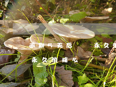 逾期5天后記錄永久消除么(逾期5年后記錄永久消除么)