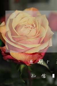 逾期5天的危害 逾期5天會(huì)影響征信嗎
