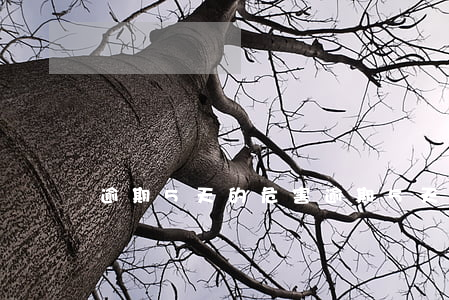 逾期5天的危害(逾期5天的危害有哪些)
