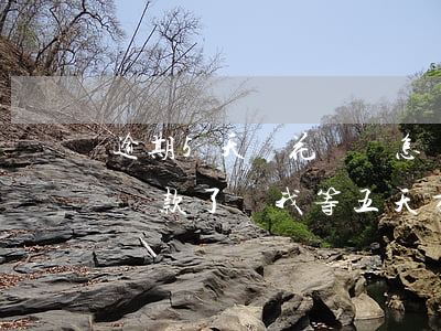 逾期5天還花唄會怎樣(支付寶花唄逾期4天,還款了讓我等五天才能用)