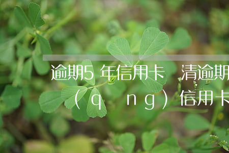 逾期5年信用卡還清(逾期還清后5年后能申請(qǐng)信用卡嗎)