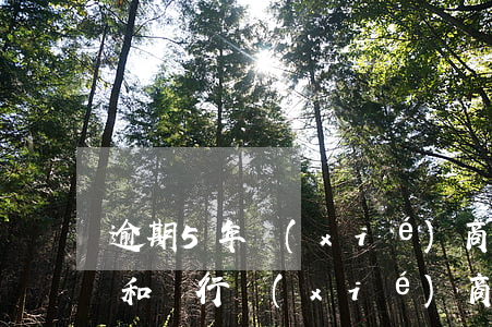 逾期5年協(xié)商還款技巧(怎么才能和銀行協(xié)商還款呢已經(jīng)逾期兩期了)