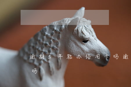 逾期5年能办信用卡吗(逾期5年能办信用卡吗)