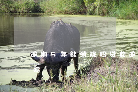 逾期5年能消除吗(贷款逾期五年后可以消除吗)