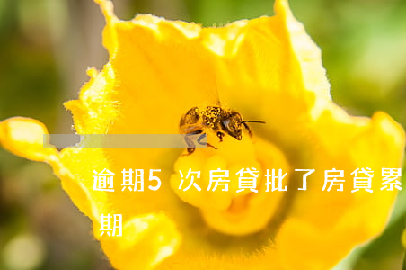 逾期5次房貸批了(房貸累計(jì)3次逾期)