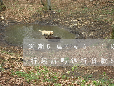 逾期5萬(wàn)以上會(huì)被銀行起訴嗎(銀行貸款5萬(wàn)逾期多久會(huì)被起訴)