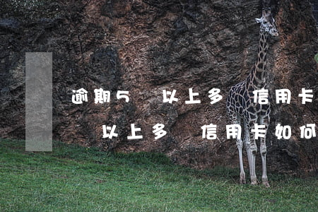 逾期5萬以上多張信用卡如何還款-逾期5萬以上多張信用卡如何還款呢