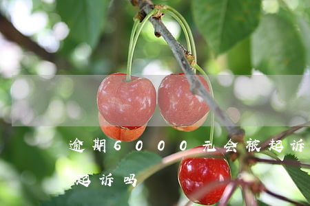 逾期6000元会被起诉吗(逾期1500会起诉吗)