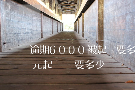 逾期6000被起訴要多少費用(65000元起訴費要多少)