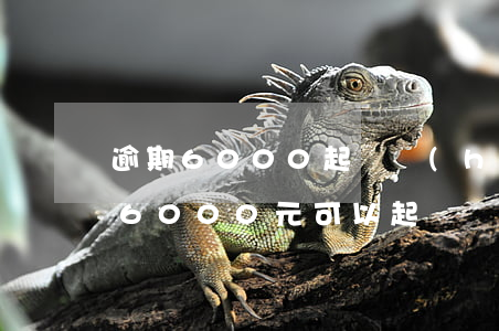 逾期6000起訴會(huì)怎么判(欠款6000元可以起訴嗎)