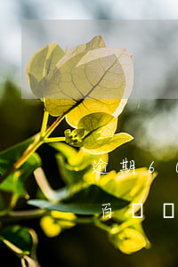 逾期600元會(huì)被起訴嗎(逾期幾百塊錢會(huì)被起訴嗎)