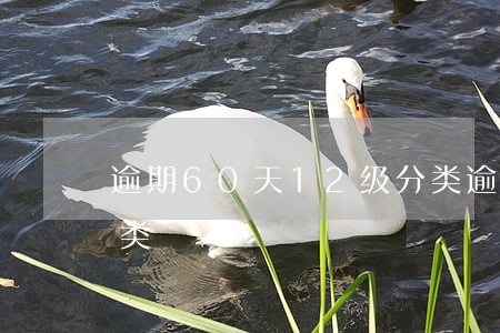 逾期60天12级分类(逾期天数对应五级分类)
