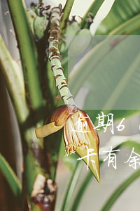 逾期60天信用卡有余额吗（逾期60天信用卡有余额）