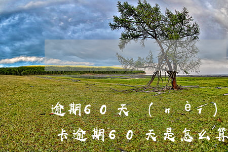 逾期60天內(nèi)和超過60天（信用卡逾期60天是怎么算的）
