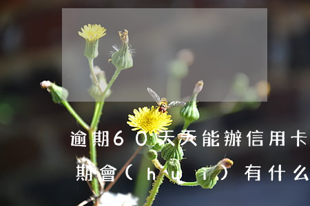 逾期60天天能辦信用卡嗎(60歲信用卡逾期會(huì)有什么后果)